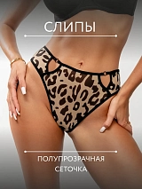  барс